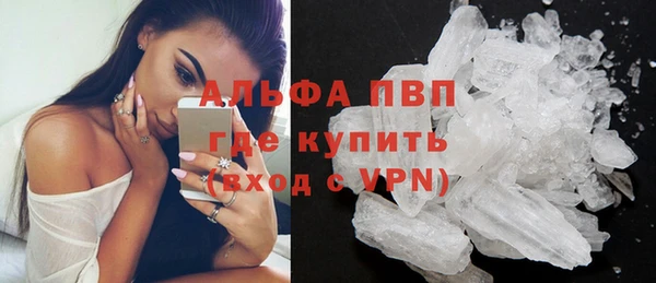 молекула духа Арсеньев