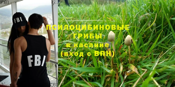 каннабис Аркадак