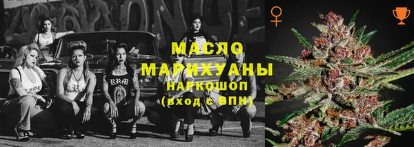 молекула духа Арсеньев