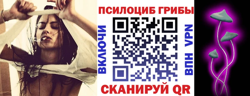 Псилоцибиновые грибы GOLDEN TEACHER  Тавда 